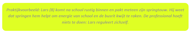 Praktijkvoorbeeld-1.png