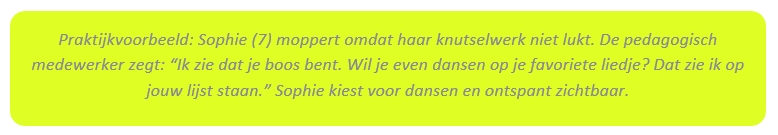 Praktijkvoorbeeld-2.png