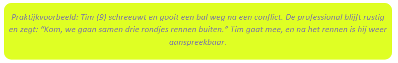 Praktijkvoorbeeld-3.png