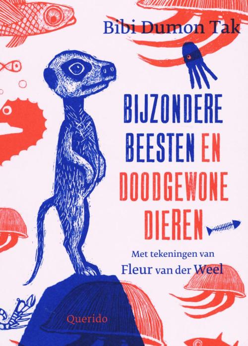 Close-reading-Bijzondere-beesten-en-doodgewone-dieren.jpg